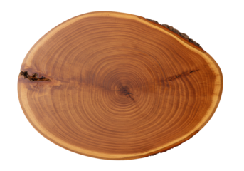 Wood slice with tree rings isolated on transparent background, natural wooden cross section for rustic decor and craft projects