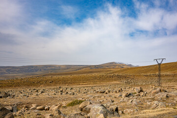 A large group of birds are flying over a dry, rocky plain
