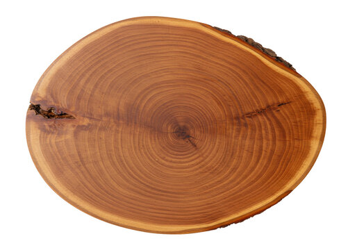 Wood slice with tree rings isolated on transparent background, natural wooden cross section for rustic decor and craft projects