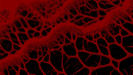 ABSTRACT HALFTONE BACKGROUND_32