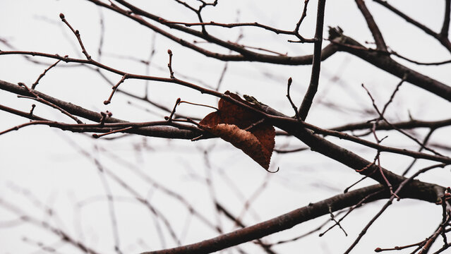barbed wire on a fence - Powered by Adobe