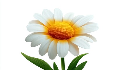 Bright and Vibrant Single Daisy Flower Vector Art Piece for Modern Design Projects