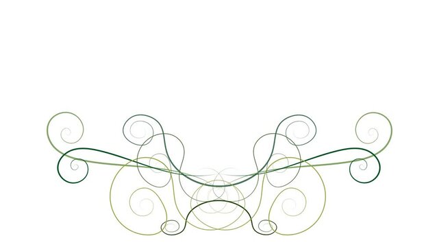 Symmetrical green calligraphic lines and swirls animate on a white background. Creates an elegant, ornate filigree ornament perfect for a lower third, title divider, or decorative frame element.