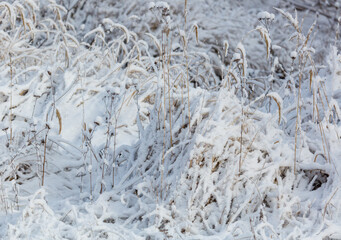 A field of snow covered grass