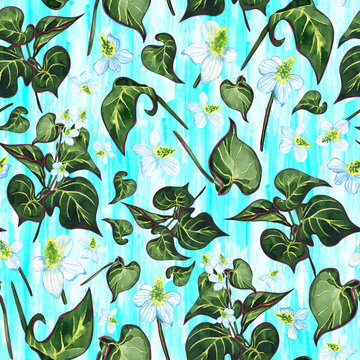 Floral seamless pattern with houttuynia flowers and heartleaf watercolor texture