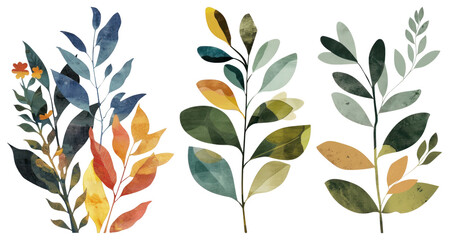 PNG Colorful watercolor botanical leaves, element set on transparent background