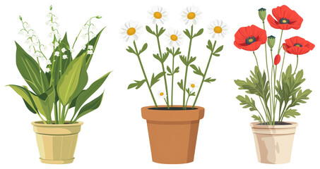 PNG Potted flowers nature illustration, element set on transparent background