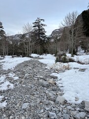 winter landscape in the mountains