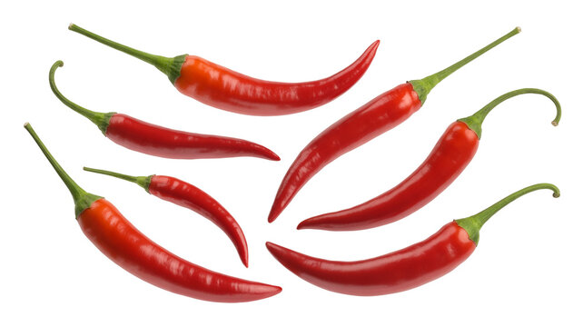 Spice up your designs with vibrant red chili peppers, adding a fiery kick and culinary flair easily