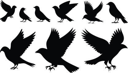 Silhouetted Birds in Flight Diverse Positions Graphic Asset Wildlife concept