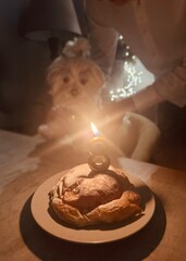 Small White Dog Celebrating 8th Birthday with Cake on Table – Warm and Cozy Pet Portrait