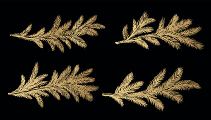 Gold fir branch on black background hand drawn set.	
