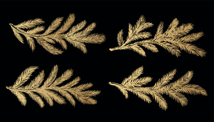 Gold fir branch on black background hand drawn set.	
