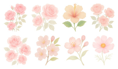 Obraz premium PNG Delicate pastel floral collection, element set on transparent background