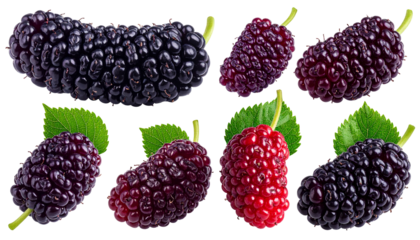 Assortment of fresh, ripe, elongated berries, with green leaves, against a black backdrop
