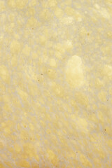 Detailed close-up of bread crumb texture shot with backlighting, revealing airy porous structure and translucent pockets of dough.