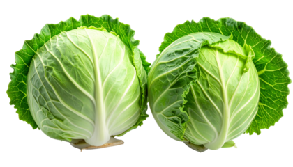 Two crisp, fresh heads of cabbage sit side-by-side, vibrant green leaves on display