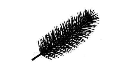 Monochrome botanical illustration displaying a pine branch with intricate needle details in a