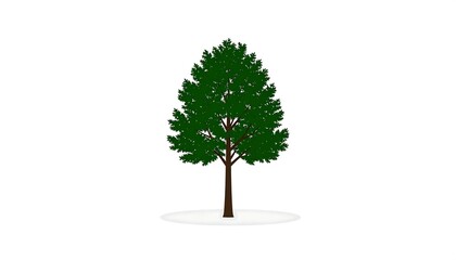 Stylized vector image of a tree with a full, green canopy on a white background with subtle shading at the base