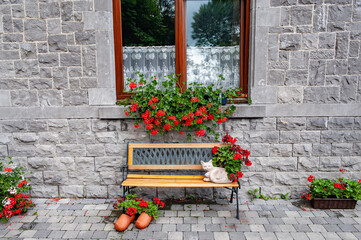 Charming stone wall with blooming red flowers around a wooden window and a peaceful bench where a cat rests quietly, capturing the cozy atmosphere near Spontin Castle in the Belgian countryside.