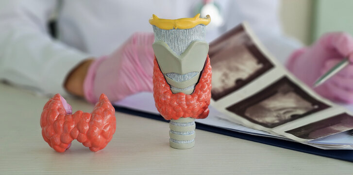 The doctor holds the results of a thyroid ultrasound examination. Thyroid diseases, nodular goiter, cancer