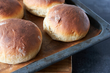 Freshly baked buns on a baking sheet on a black background