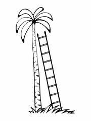 Minimilist a simple black and white drawing of a palm tree with a ladder leaning against it in a tropical setting vector
