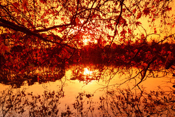 Lower lake of the Bois de Boulogne in the 16th arrondissement of Paris city