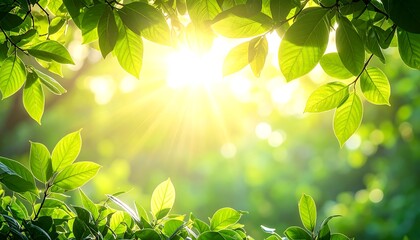 Sunlight filtering through lush, green leaves, creating a radiant and vibrant natural backdrop