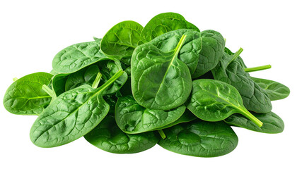 Fresh, vibrant pile of leafy greens, showing texture and varying shades