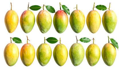 Fourteen ripe, colorful oval fruits with green stems and leaves, set on a black backdrop