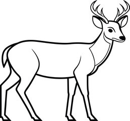 Fototapeta premium Deer Illustration Set. Wild Deer Collection. Forest Deer Artwork. Deer Outline Bundle. Standing Deer Drawings. Deer Silhouette Pack. Deer Animal Graphics. Elegant Deer Designs. Deer Line Art Set