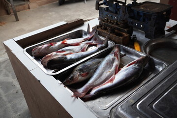 Freshly Caught Fish on Display at Traditional Market Counter