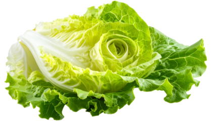 Fresh, vibrant green cabbage with tightly packed leaves, close-up, black background