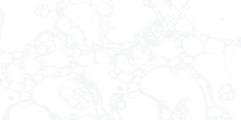 Clean Abstract Bubble Photo: A calming, seamless backdrop with luminous white and ethereal shapes, perfect for serene design, soothing websites, and light themed projects