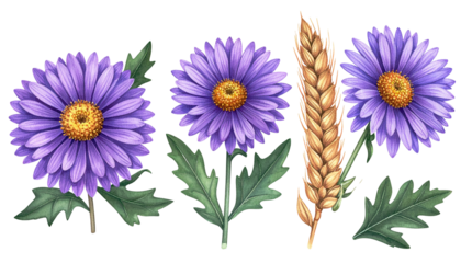 Vivid digital illustration of three purple aster flowers and a wheat stalk