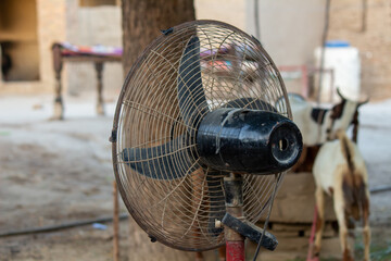 Old Pedestal Fan in a Rural Outdoor Setting with Livestock and Traditional Village Background