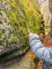 Child in gray jacket pointing at moss-covered rock in forest. Autumn outdoor activity