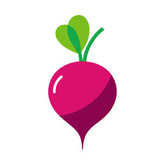 vector illustration of a red apple