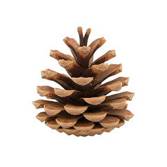 Detailed Macro View Of A Pinecone With Brown Scales And Ice Crystals Isolated On A Black Background Natural Object Macro Photography