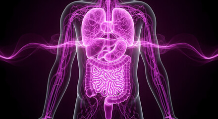 Human Body Illuminated with Glowing Energy Anatomy Science and Healthcare