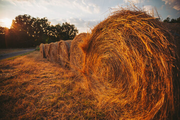 Beautiful sunset over hay bales on a rural road surrounded by trees in the countryside during late afternoon hours