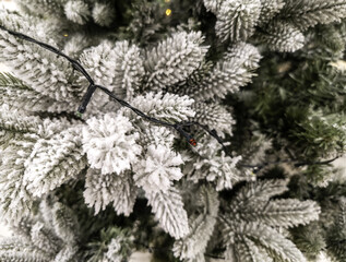 Snowy Christmas tree