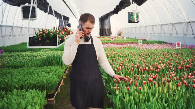 Florist inspects future flower harvest grown in greenhouse. Portrait of young farmer in modern flower greenhouse. Florist discusses future sales of the grown flowers with a customer over phone.
