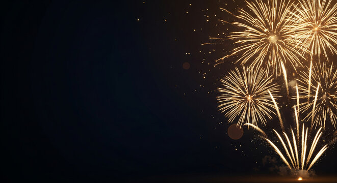 fireworks in the night sky