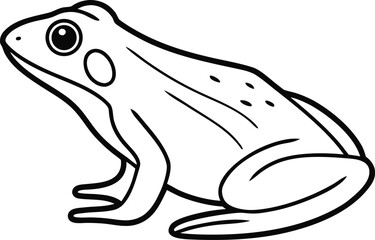 Frog Illustration Set. Cute Frog Artwork Collection. Frog Outline Drawing Bundle. Cartoon Frog Design Set. Frog Character Line Art. Frog Pose Illustration Pack. Minimal  Wild Frog Graphic Elements