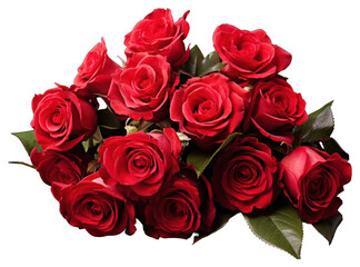 Naklejka premium PNG Rose flower plant inflorescence.