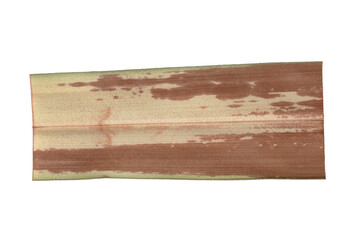 Dry withered leaf strip with brown spots and natural texture. Autumn foliage detail showing plant decay, isolated on a transparent background.