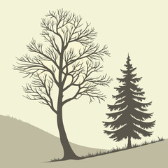 Obraz premium Bare tree and evergreen tree silhouette on hill in winter landscape