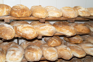 Freshly baked bread loaves on a bakery shelf
